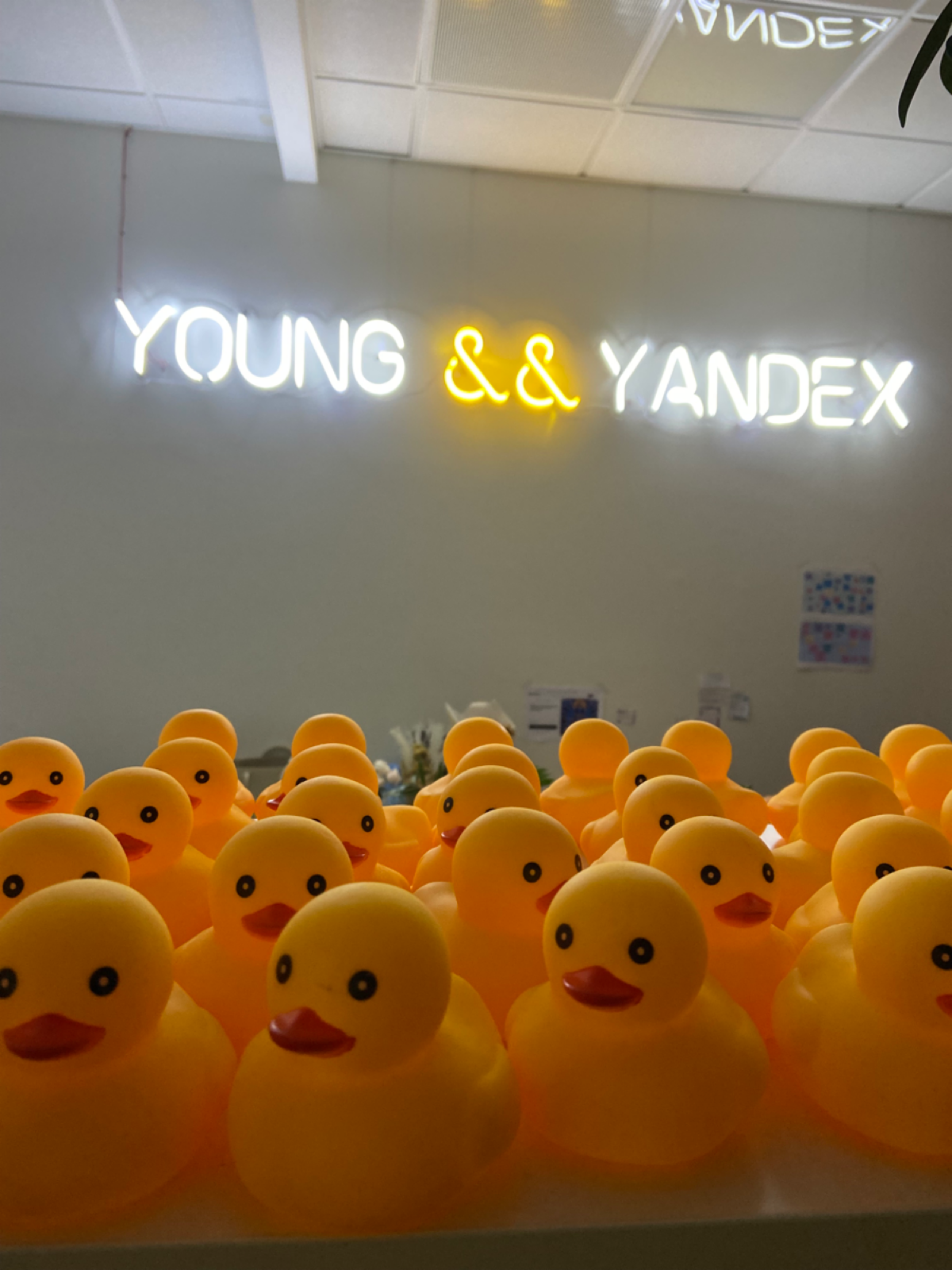 Всем привет! Давайте знакомиться)
Я дизайнер из Яндекса [Young&&Yandex]. Работаю в креативном коммуникационном дизайне, люблю также UX/UI, дизайн мобильных приложений.
Увлекаюсь фотографией | Сетка — социальная сеть от hh.ru