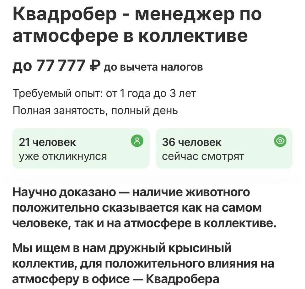 Рубрика «Интересные вакансии» 🤦‍♀️
Комментарии излишни... | Сетка — социальная сеть от hh.ru