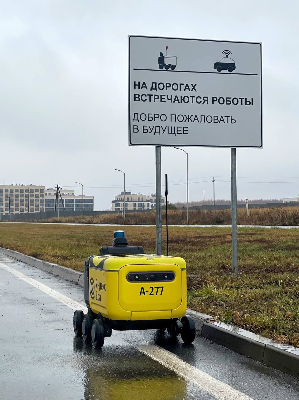 В Иннополисе появились дорожные знаки с РОБОТАМИ. Их установили на въезде в город, чтобы водители были внимательны к самым технологичным участникам дорожного движения | Сетка — социальная сеть от hh.ru