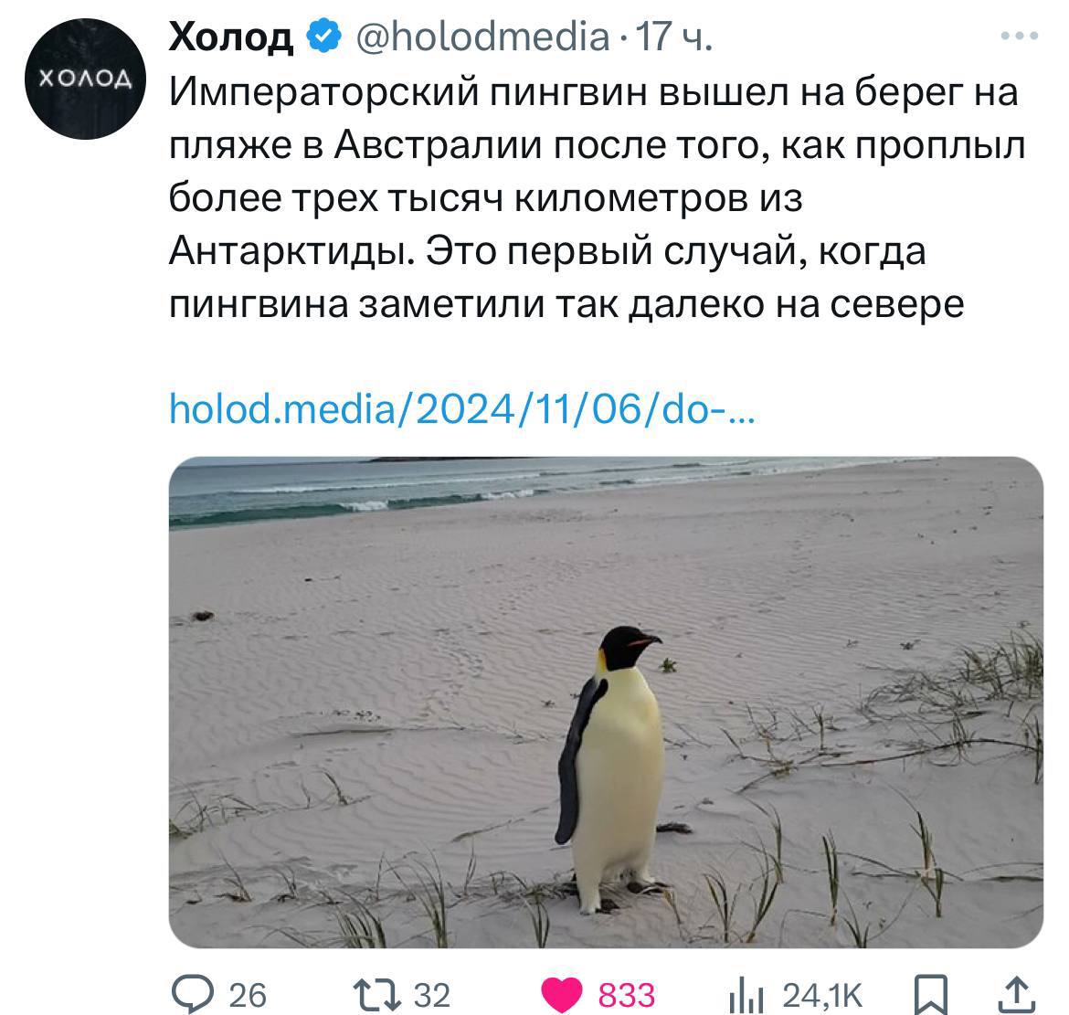 😎 Когда решил провести зимовку на Бали. Сейчас отдохнет и поплывет дальше.
Надеюсь, он не забыл свой загранник и миграшку, уплыв так далеко… | Сетка — социальная сеть от hh.ru