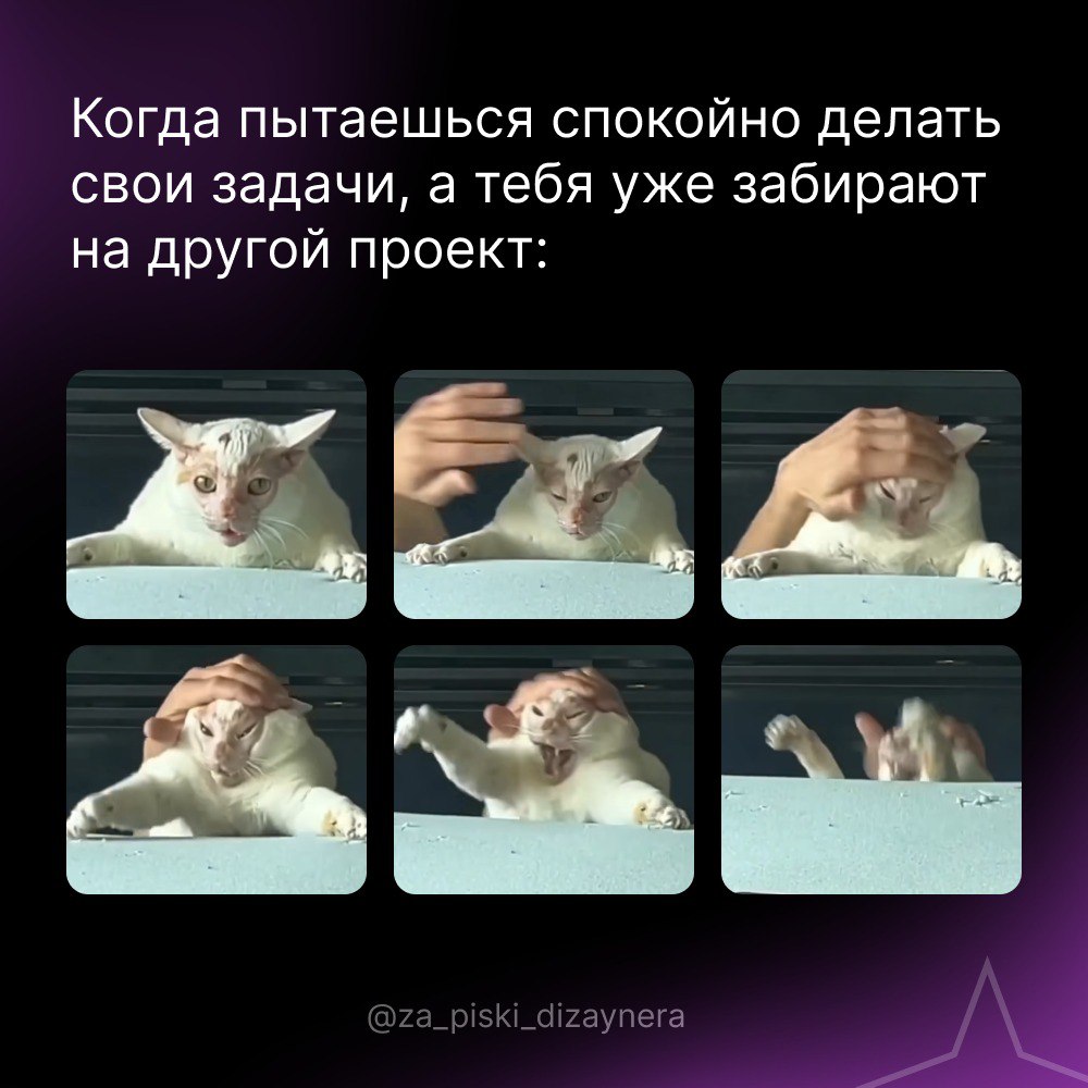 Сетка — социальная сеть от hh.ru