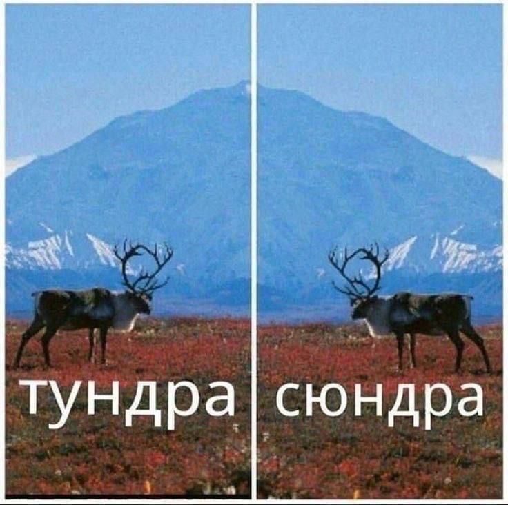 Пост-каламбур | Сетка — социальная сеть от hh.ru