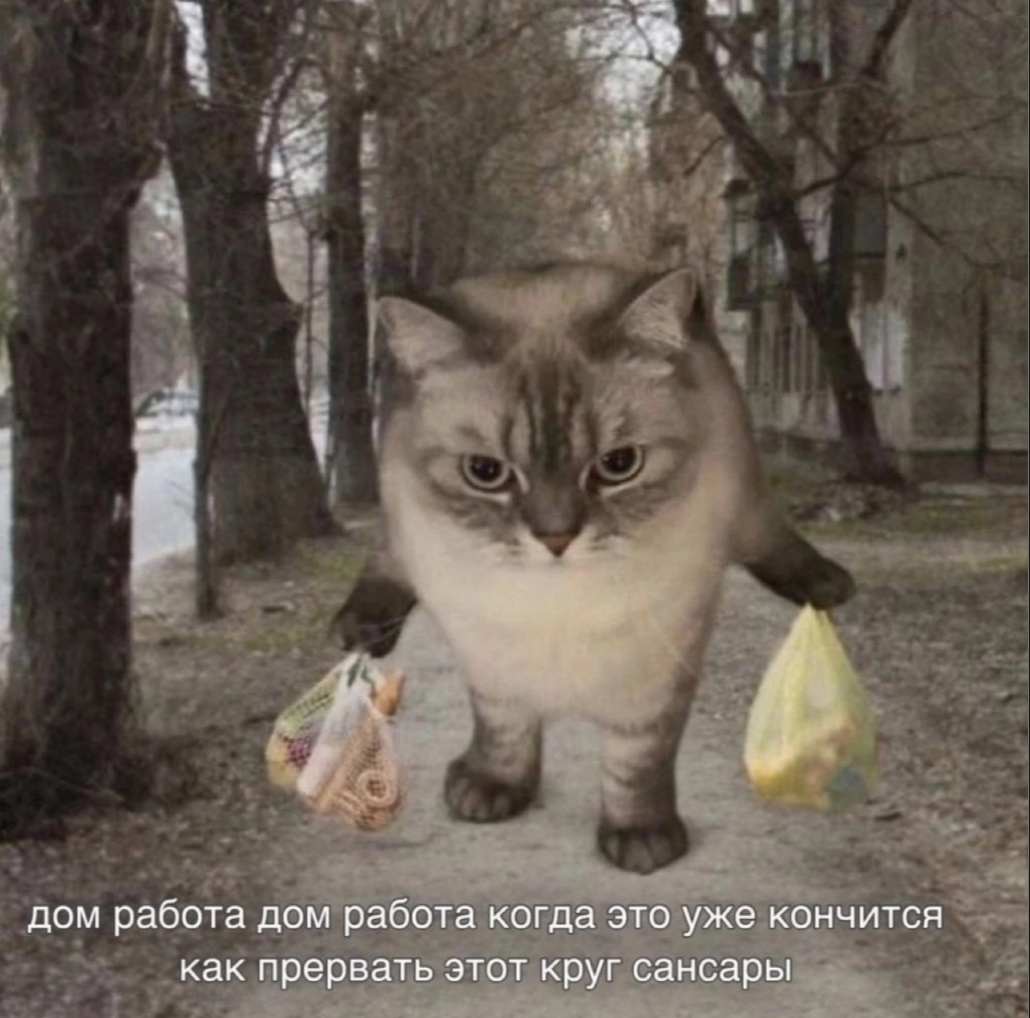 пора нарушать свою матрицу 🧑‍🔧 | Сетка — социальная сеть от hh.ru