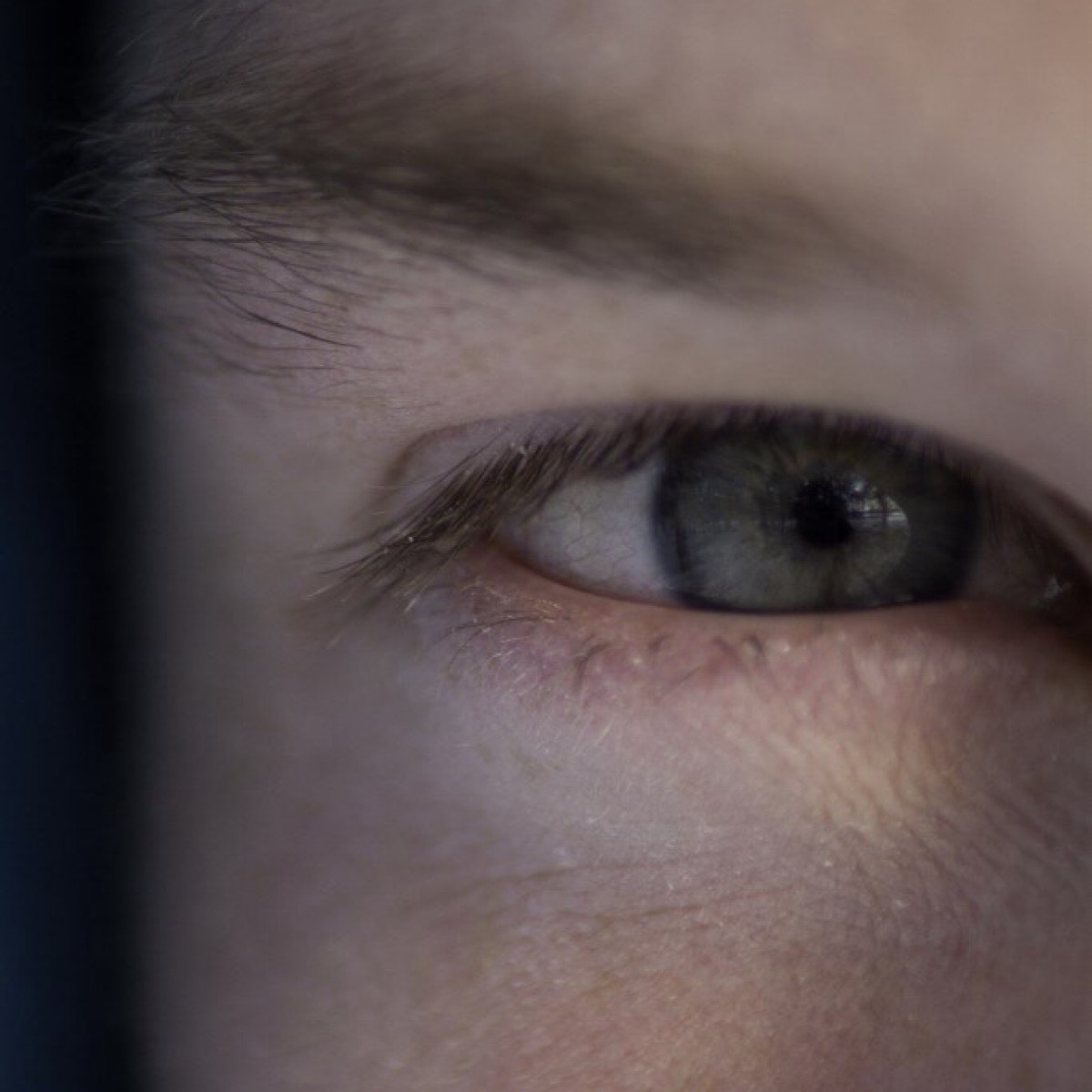 Сергей Терещенок