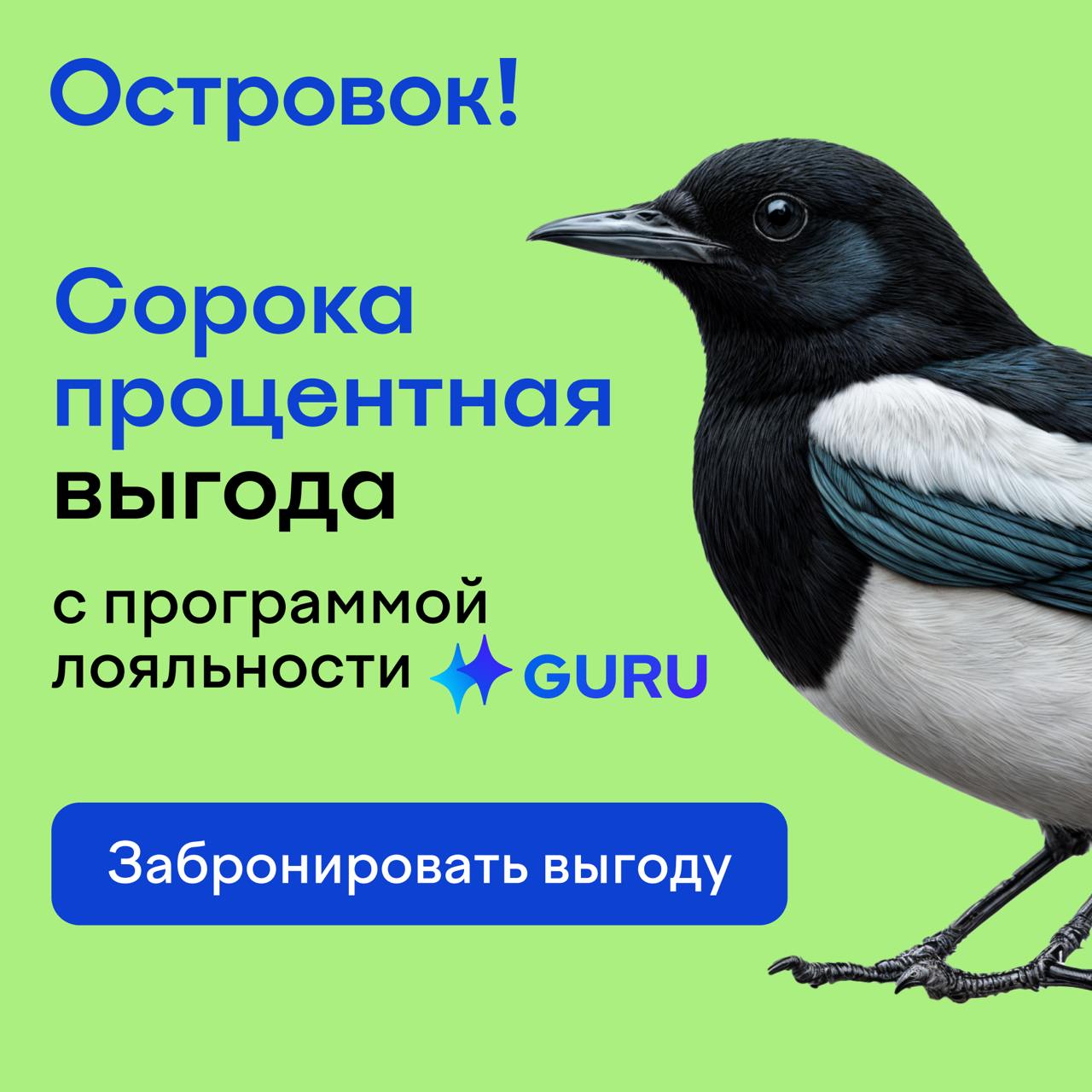 Это сорока
А это сорока процентная скидка от Островка!
Бронируйте отели и квартиры через Островок, становитесь GURU путешествий и получайте до 40% выгоды в каждой поездке✨
GURU — это программа лояльно... | Сетка — социальная сеть от hh.ru