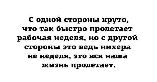🎁 забрать подарок в телеге | Сетка — социальная сеть от hh.ru