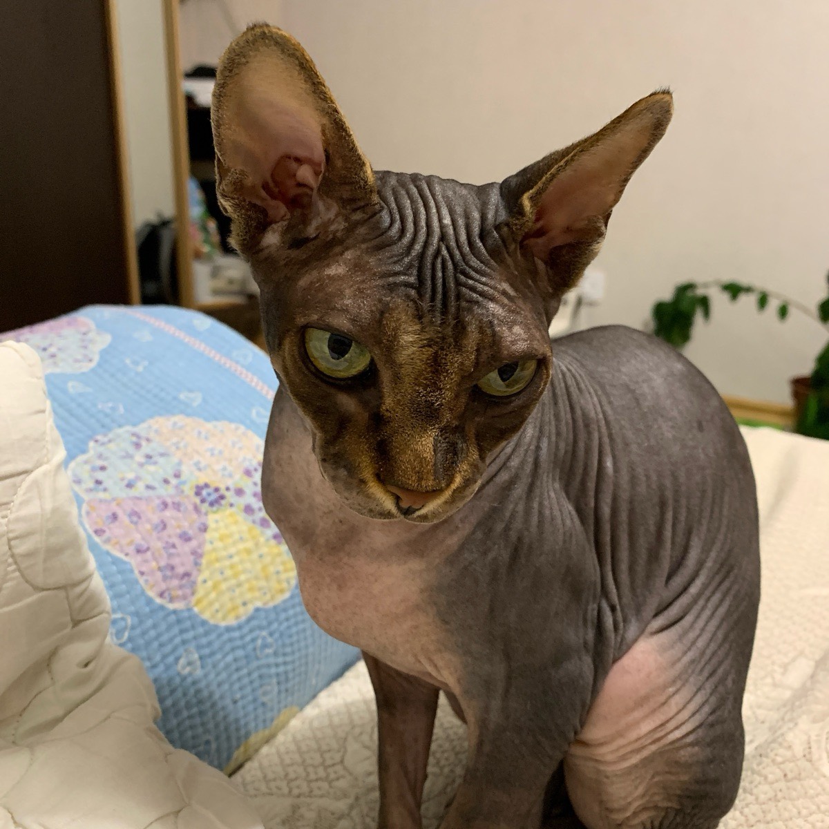 Ирина Ки | Сетка — социальная сеть от hh.ru