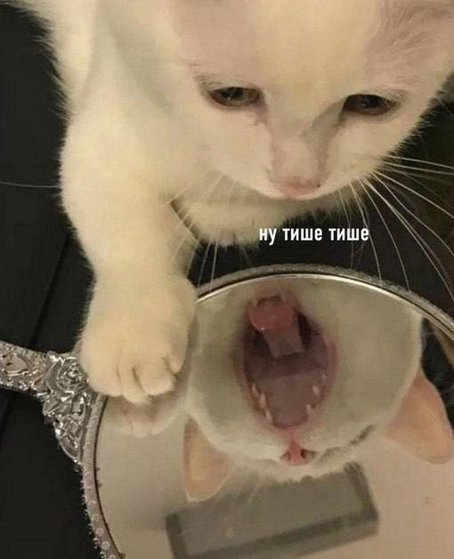 Когда пытаешься дотерпеть до выходных 😹 | Сетка — социальная сеть от hh.ru