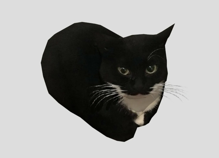comment image