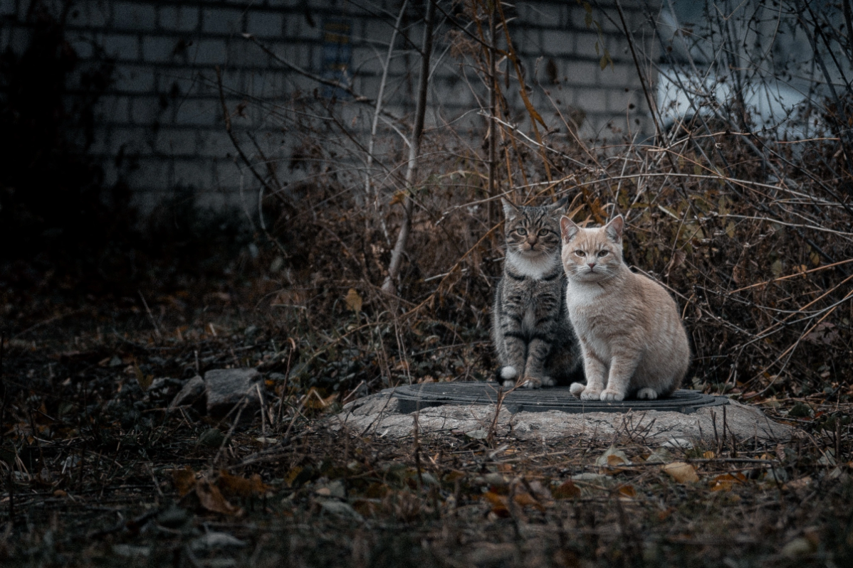В свободное от веб дизайна время - фотографирую 😁📷 | Сетка — социальная сеть от hh.ru