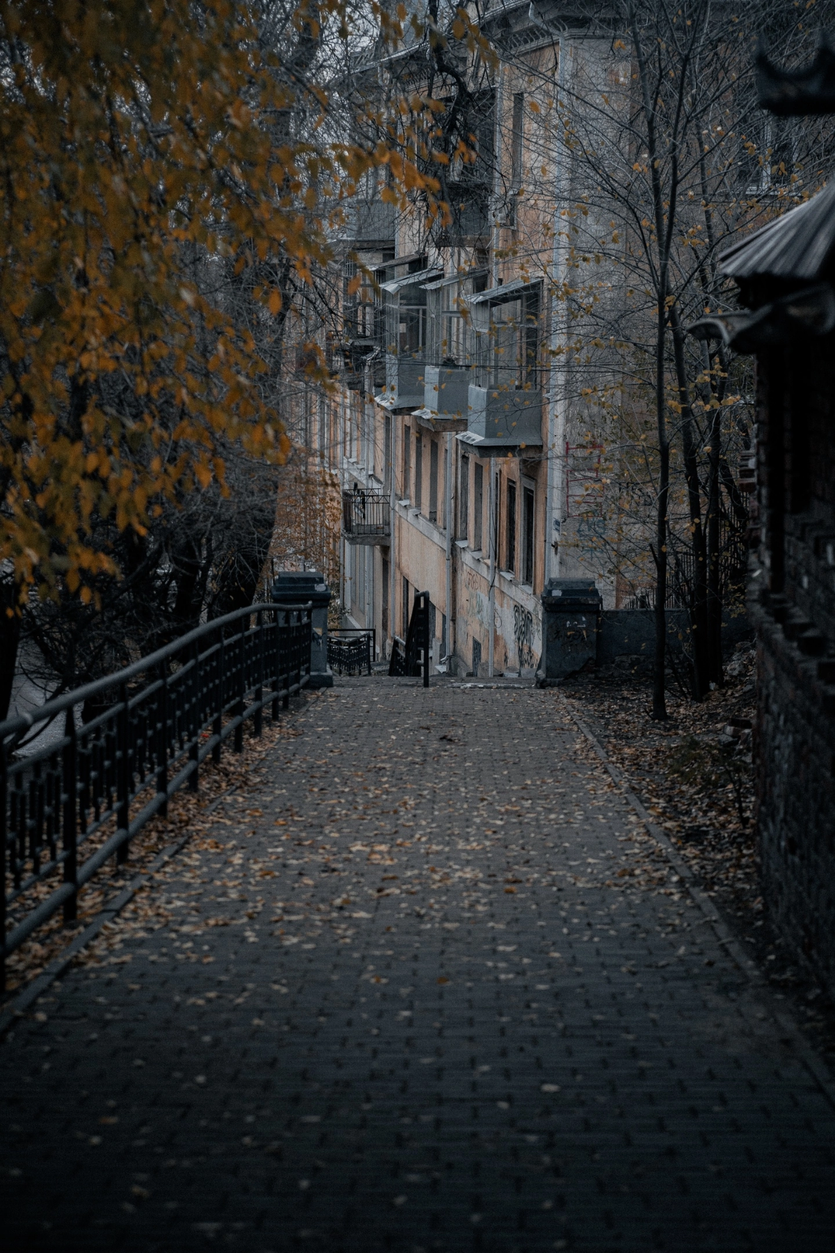 В свободное от веб дизайна время - фотографирую 😁📷 | Сетка — социальная сеть от hh.ru
