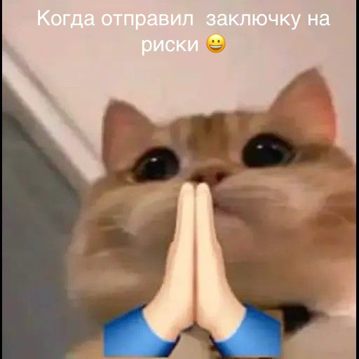 для аналитиков актуально 😂 | Сетка — социальная сеть от hh.ru