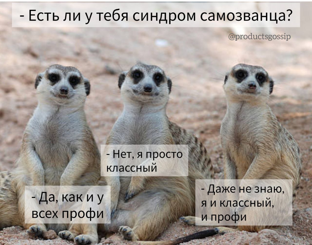 Немного о важности позитивного взгляда на жизнь 😉
А синдром самозванца у меня, конечно, есть, но чаще всего, вокруг так много интересного, что я о нём просто забываю | Сетка — социальная сеть от hh.ru