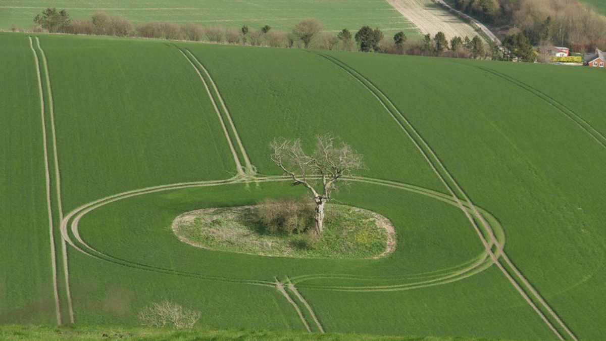 «Расти — значит выбирать другой вид боли» | Сетка — социальная сеть от hh.ru