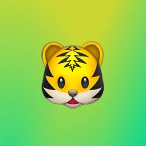 Андрей Обласов | Сетка — социальная сеть от hh.ru