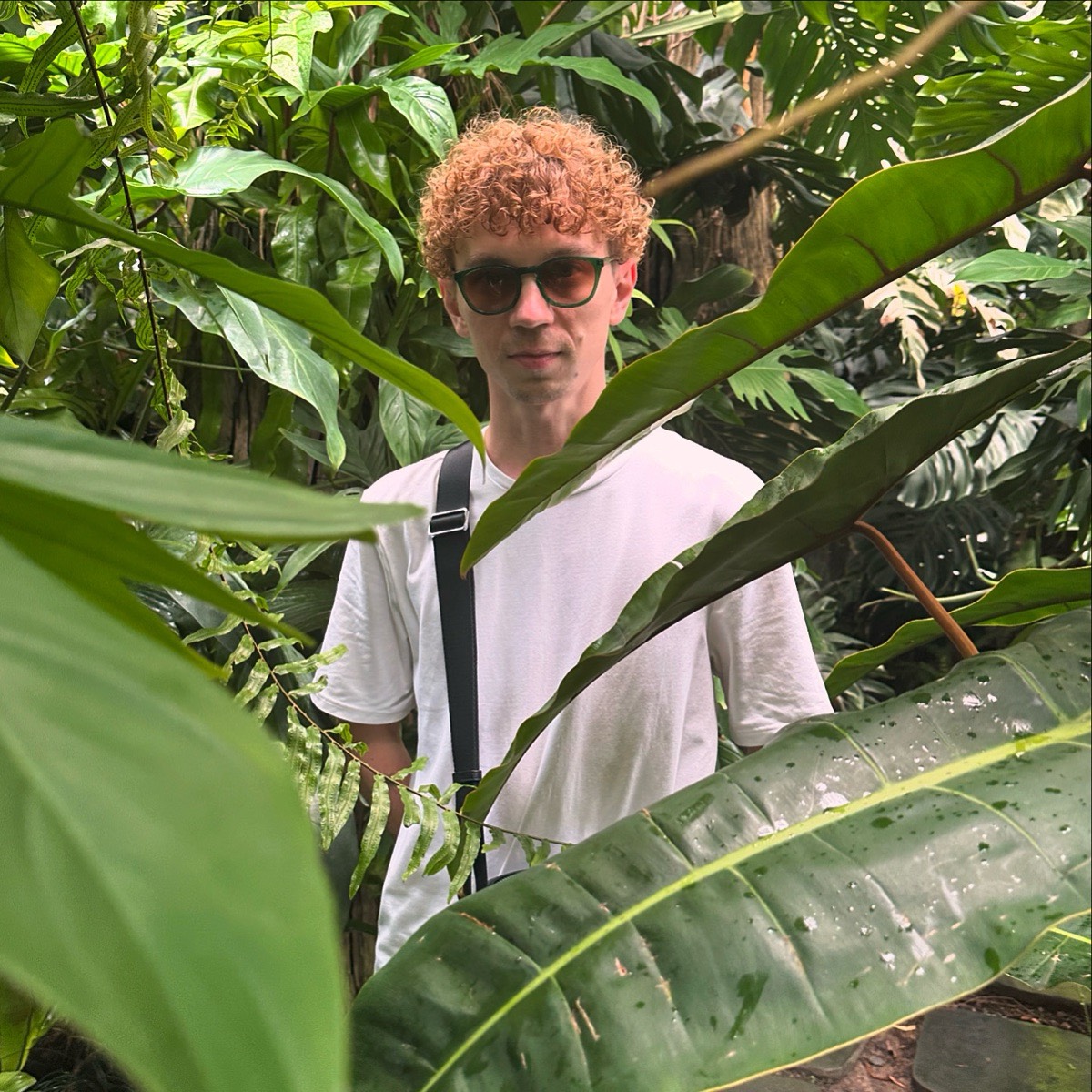 Леонид Никулин | Сетка — социальная сеть от hh.ru