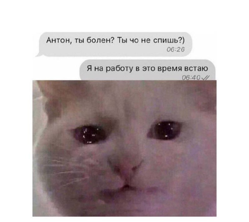 Настраиваемся на выходные вместе 😉 | Сетка — социальная сеть от hh.ru