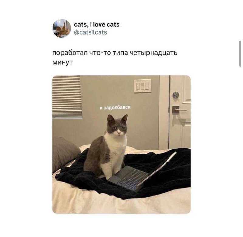 Настраиваемся на выходные вместе 😉 | Сетка — социальная сеть от hh.ru