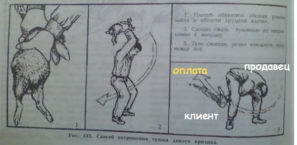 Коротко о современных продажах - каких только заходов нет | Сетка — социальная сеть от hh.ru