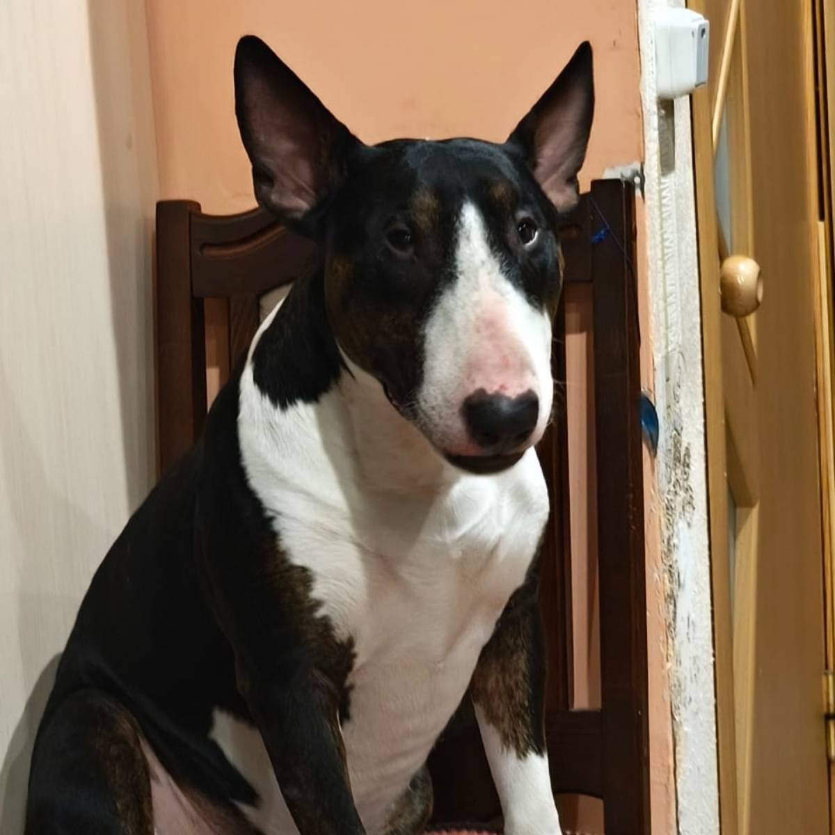 Евгений Сизов