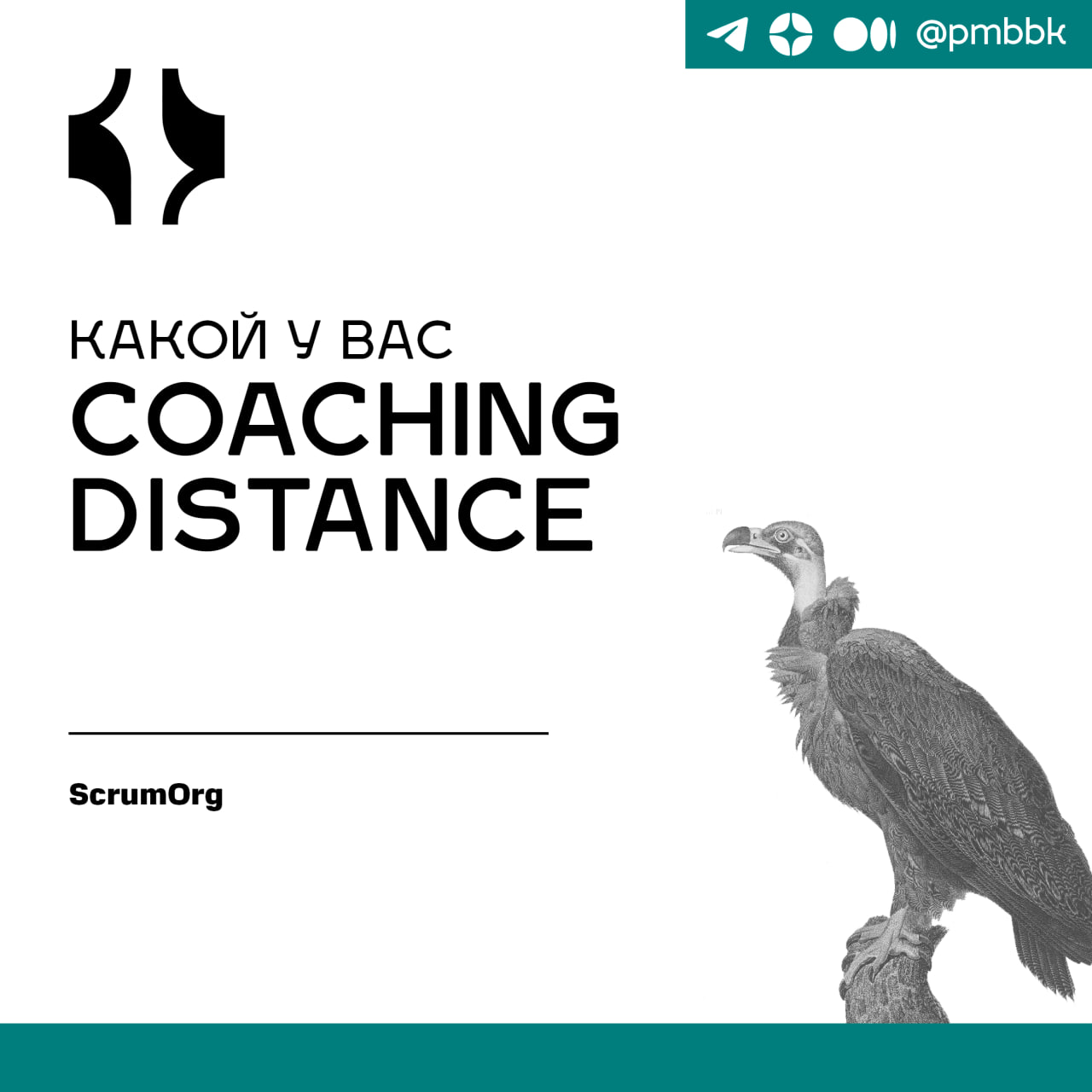 🔭 Какой у вас Coaching DistanceБаскетбол 3x3 - один из видов спорта, который мне больше всего понравился на Олимпиаде в Париже. Мне очень понравился темп, динамика и командная игра | Сетка — социальная сеть от hh.ru