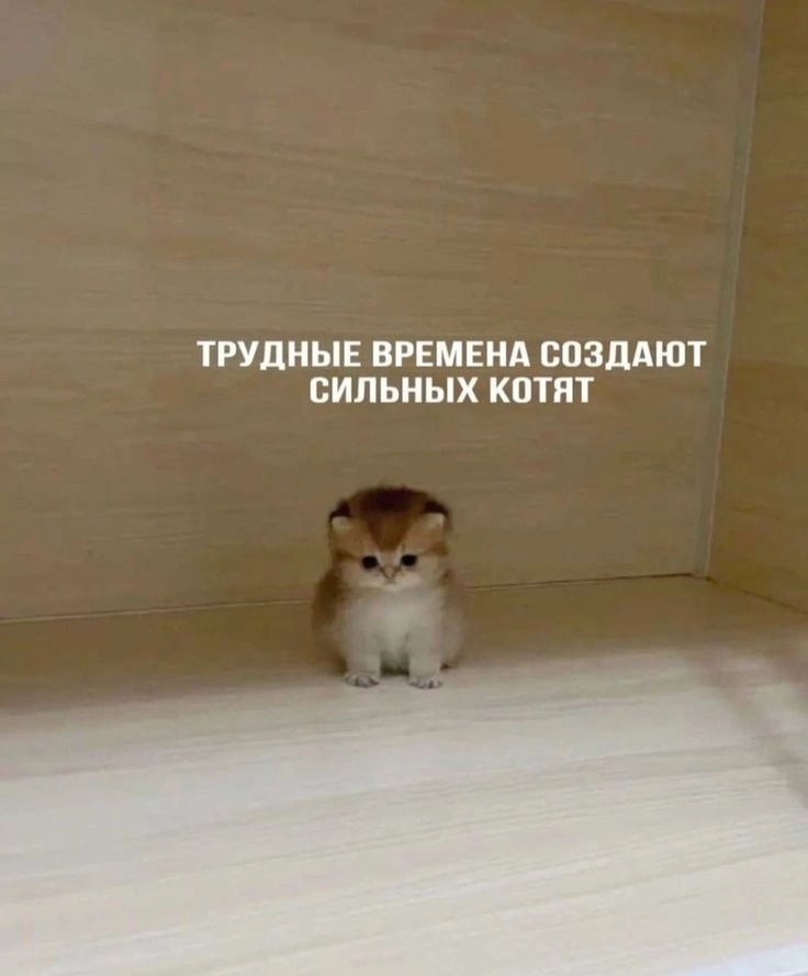 Ребята, вы знаете, что вы просто супер? | Сетка — социальная сеть от hh.ru