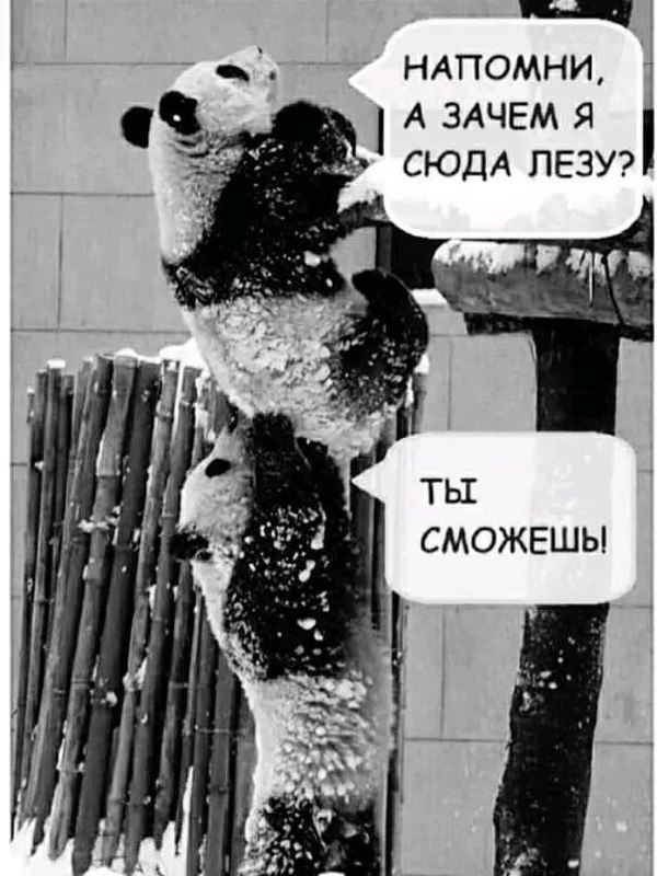 Когда руководитель сказал, что нужна автоматизация, но не уточнил для чего. | Сетка — социальная сеть от hh.ru