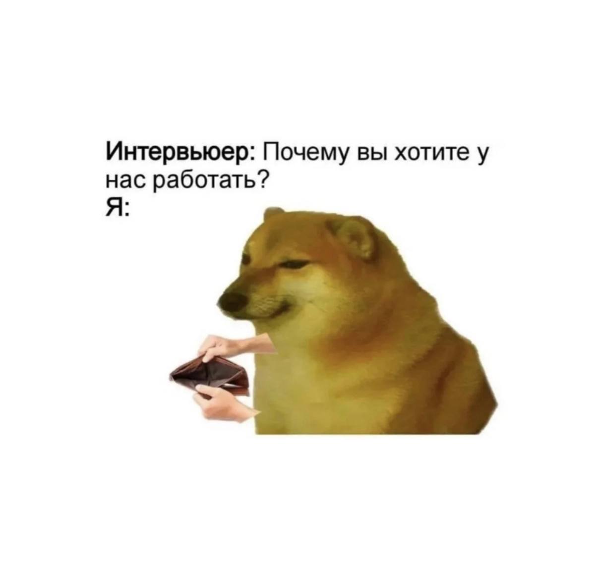 Неделя была короткой трудной, поэтому спиздил вам немного мемасов из ваших этих интернетов #мемес | Сетка — социальная сеть от hh.ru