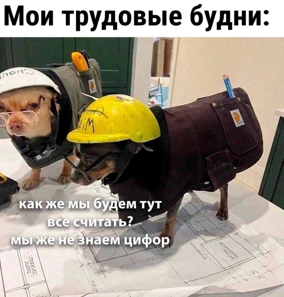 Неделя была короткой трудной, поэтому спиздил вам немного мемасов из ваших этих интернетов #мемес | Сетка — социальная сеть от hh.ru