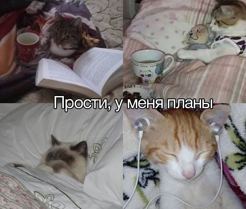 У кого такие же планы на выходные? 😂 | Сетка — социальная сеть от hh.ru