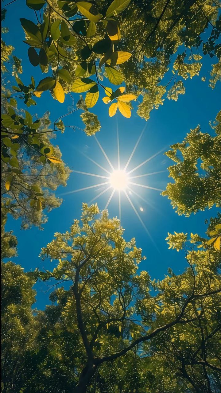 Доброе утро дорогие мои ❤️
Желаю вам приятных выходных ☀️ | Сетка — социальная сеть от hh.ru
