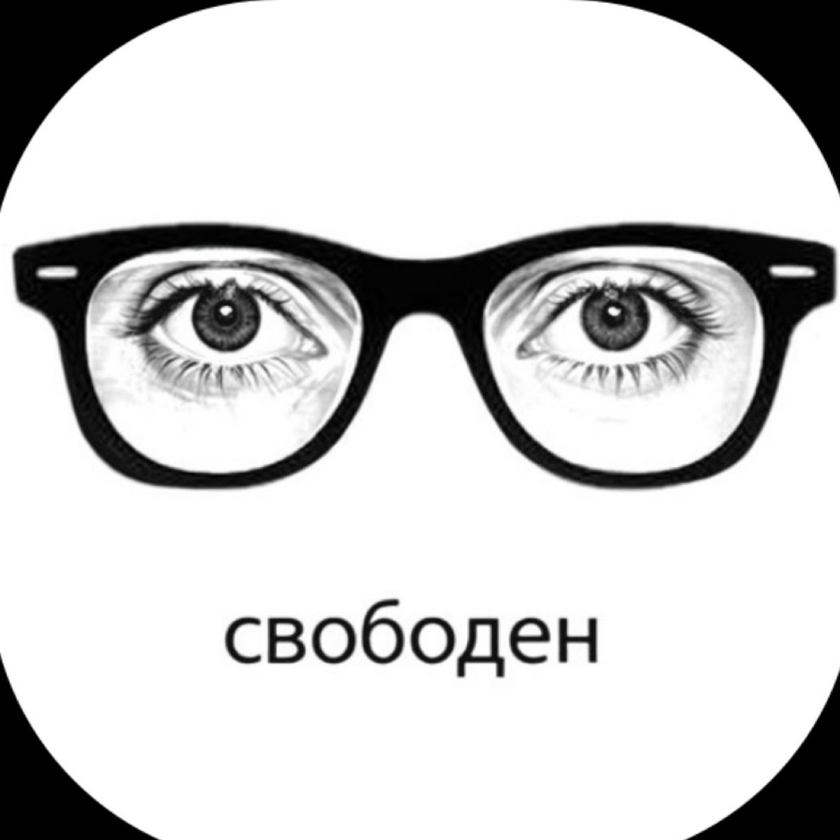 Дмитрий Хартчиков | Сетка — социальная сеть от hh.ru