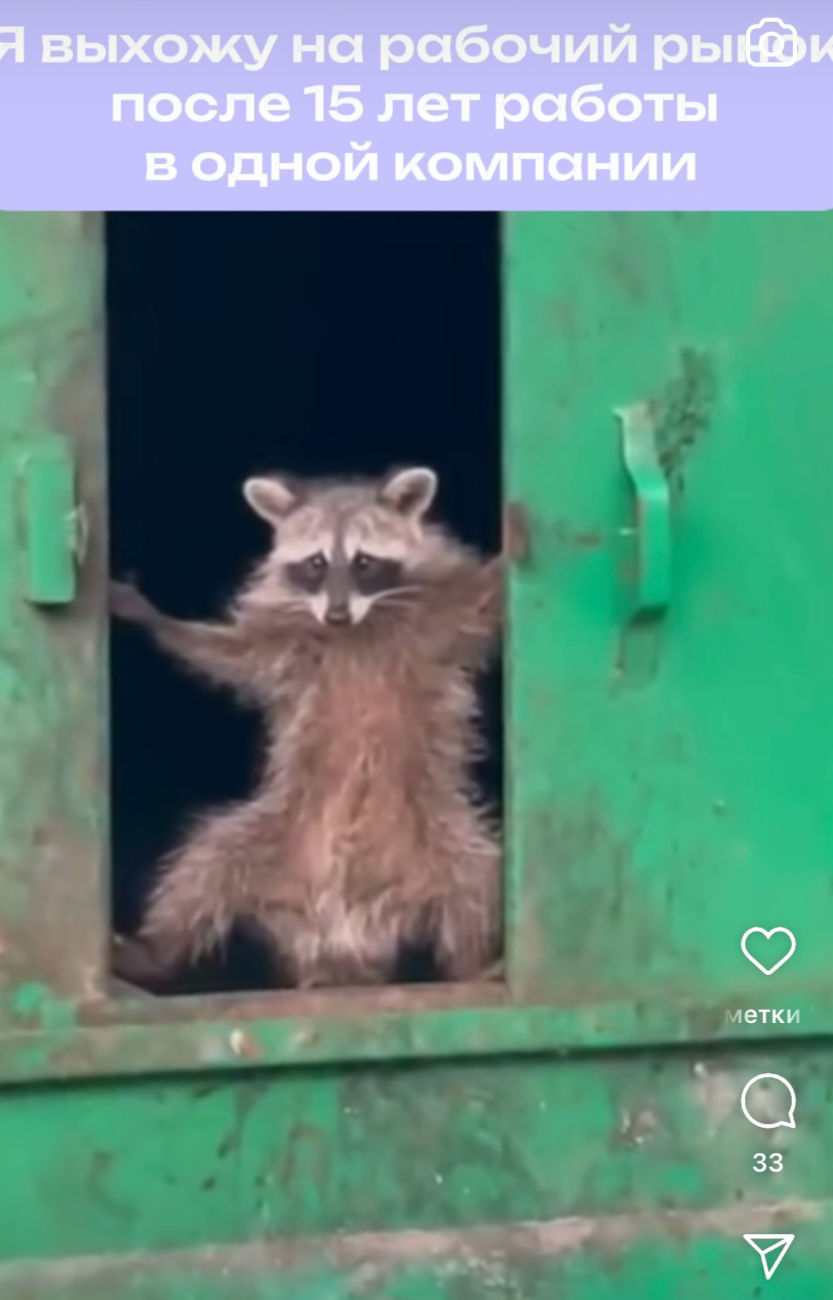 Попалось сегодня, на злобу дня😀примерно так и ощущается | Сетка — социальная сеть от hh.ru