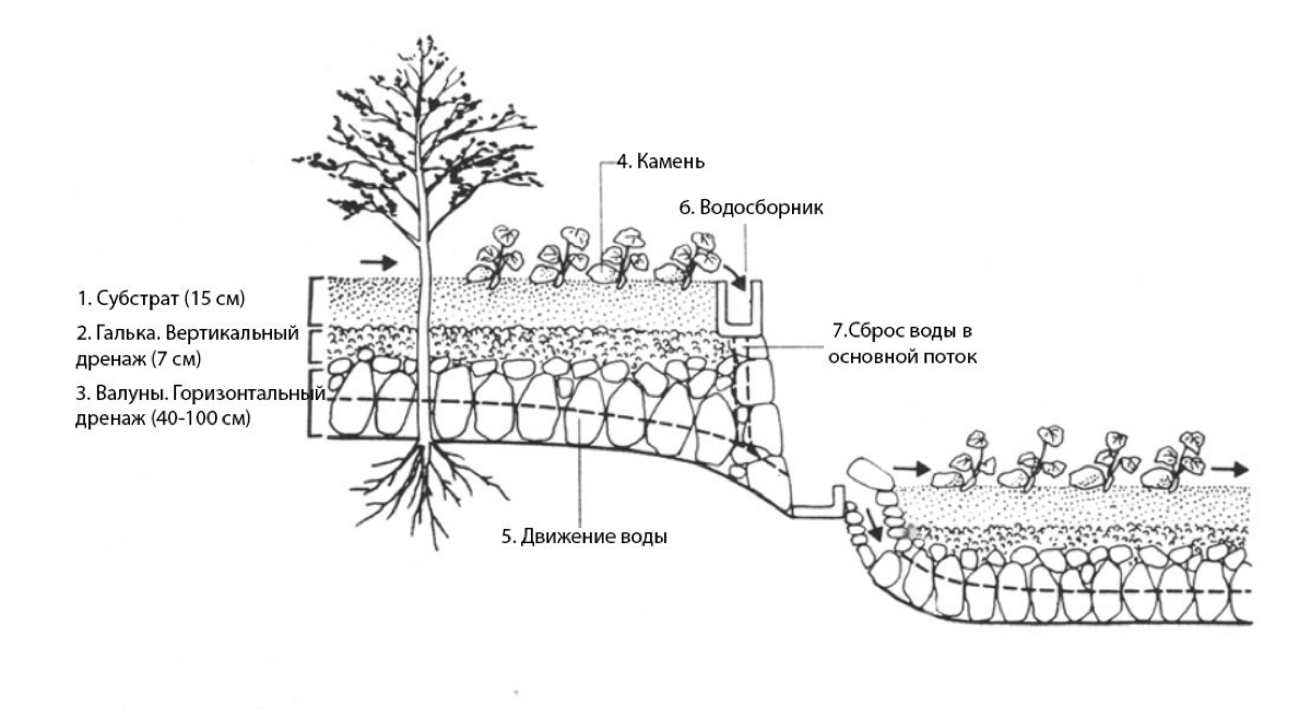 Устройство поля для выращивания васаби | Сетка — социальная сеть от hh.ru
