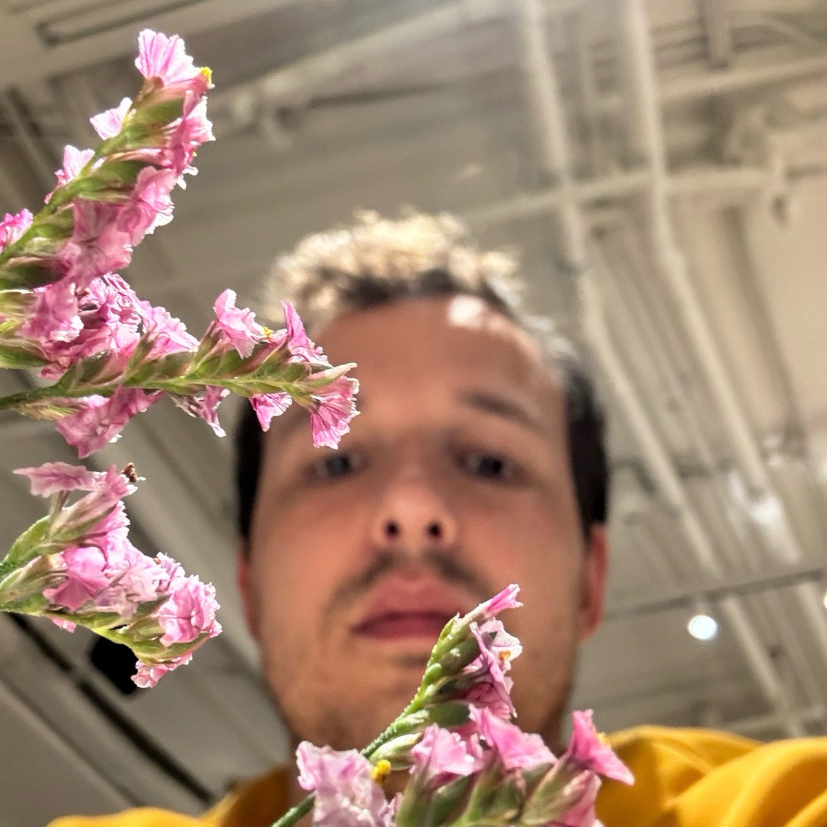 Артемий Журавлев | Сетка — социальная сеть от hh.ru