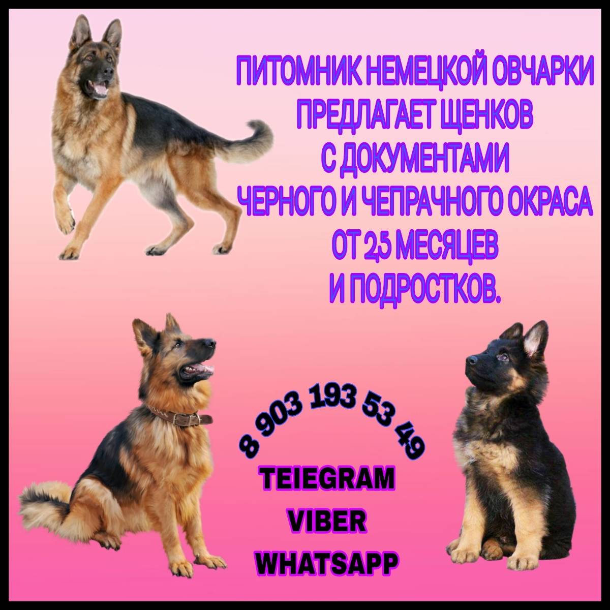 Владимир Сыровицкий