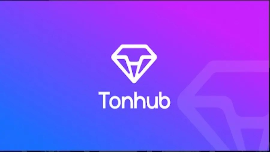 Tonhub представил дебетовую криптокарту Visa для Евросоюза | Сетка — социальная сеть от hh.ru