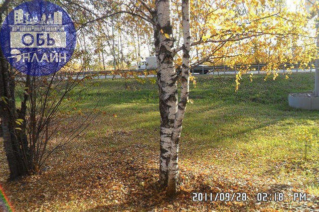 ↗ 10 ноября
Всемирный день науки за мир и развитие
Международный день бухгалтерии
Всемирный день молодёжи (по версии ВФДМ)
День сотрудника органов внутренних дел.
Приметы
Параскевы Льняницы | Сетка — социальная сеть от hh.ru