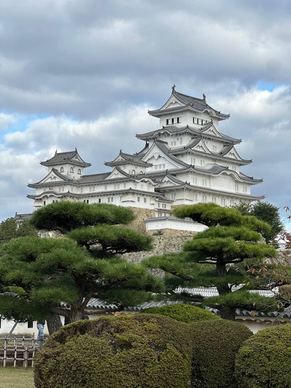 4 новых города! Продолжаю отчет о нашем путешествии по Японии 🇯🇵
Пока мои дорогие подписчички работали, мы успели посетить 4 новых города в Японии:
🦌 Нара - маленький городок с парками, садами и оленя... | Сетка — социальная сеть от hh.ru