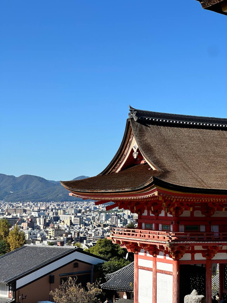 4 новых города! Продолжаю отчет о нашем путешествии по Японии 🇯🇵
Пока мои дорогие подписчички работали, мы успели посетить 4 новых города в Японии:
🦌 Нара - маленький городок с парками, садами и оленя... | Сетка — социальная сеть от hh.ru