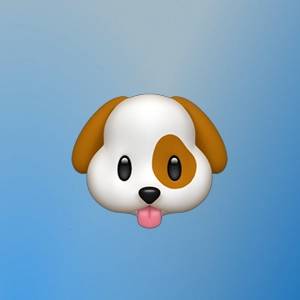 Владислав Родчихин | Сетка — социальная сеть от hh.ru