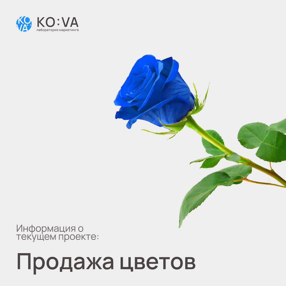 с 0 рублей до 677.000 руб (за 1 месяц).
😱Заявки по 341 руб/лид😱
👇🏽Наш клиент👇🏽
💐 Интернет-магазин по продаже живых цветов и букетов с доставкой «ROMANTIC» - romantic56 | Сетка — социальная сеть от hh.ru