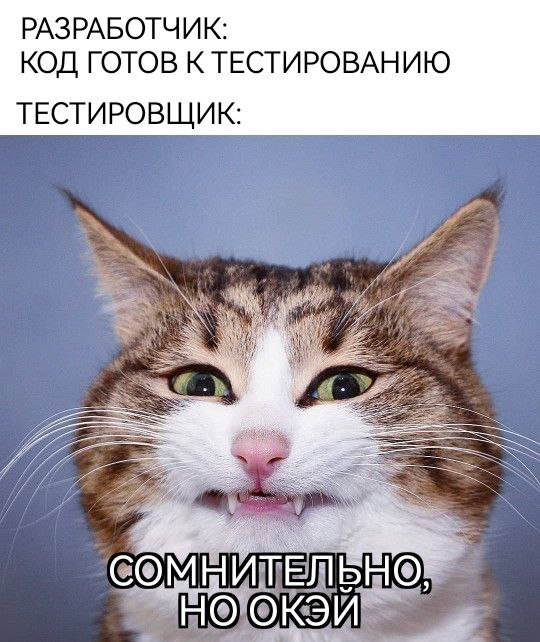 Когда разработчик уверен в себе. | Сетка — социальная сеть от hh.ru