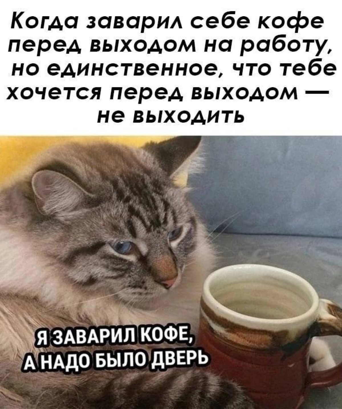 А что завариваете Вы?
#it #memes | Сетка — социальная сеть от hh.ru