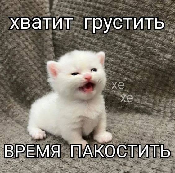 Сейчас увидела, как порш при парковке стукнул ауди и удалился
Не надо так | Сетка — социальная сеть от hh.ru