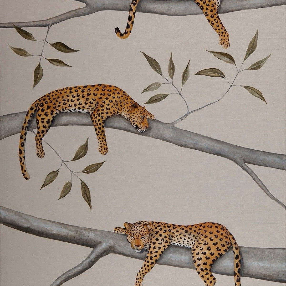 Элина Мисрокова | Сетка — социальная сеть от hh.ru