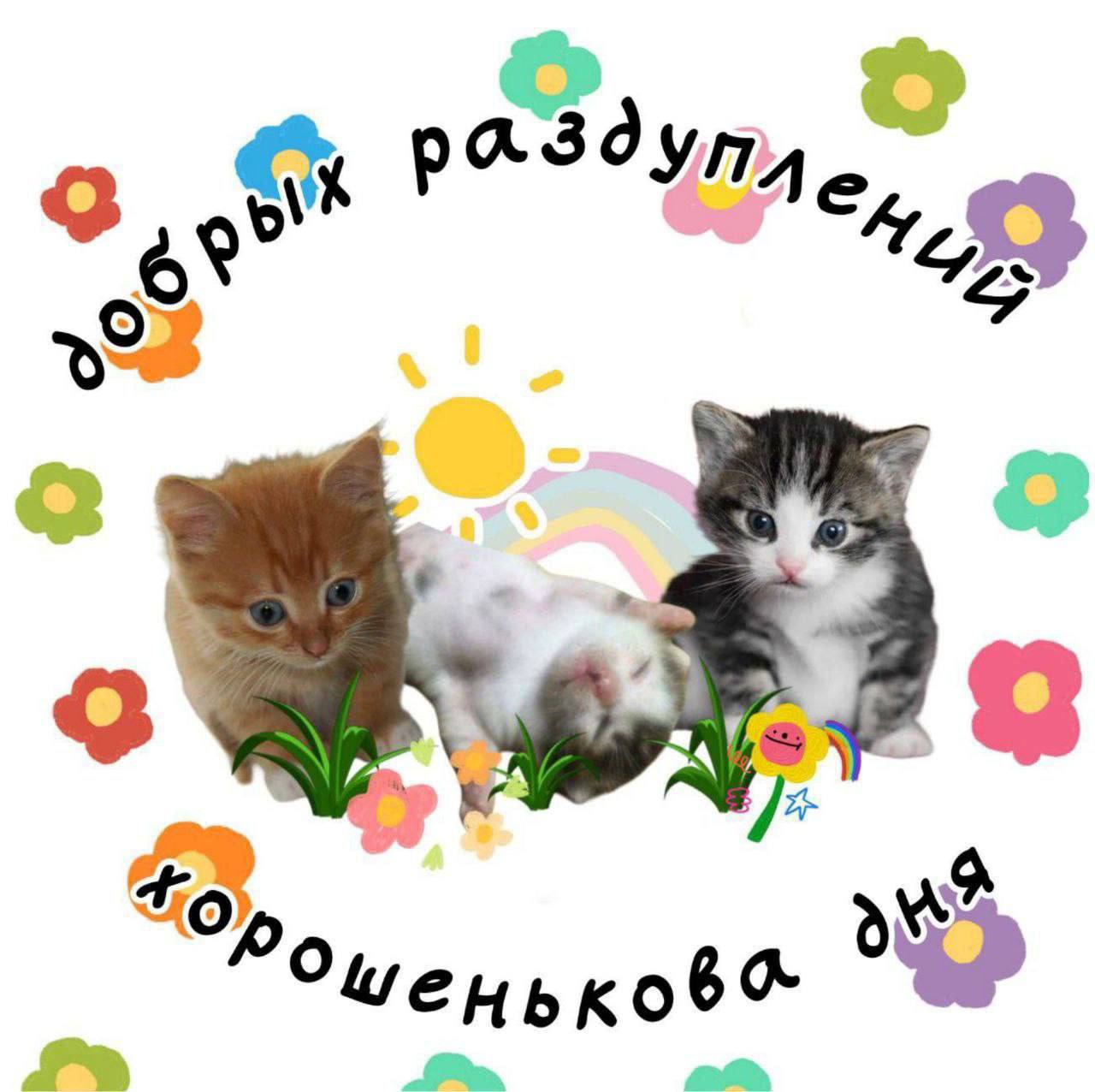 Нашел открытку для коллег на утро понедельника.
Сохраняйте! | Сетка — социальная сеть от hh.ru