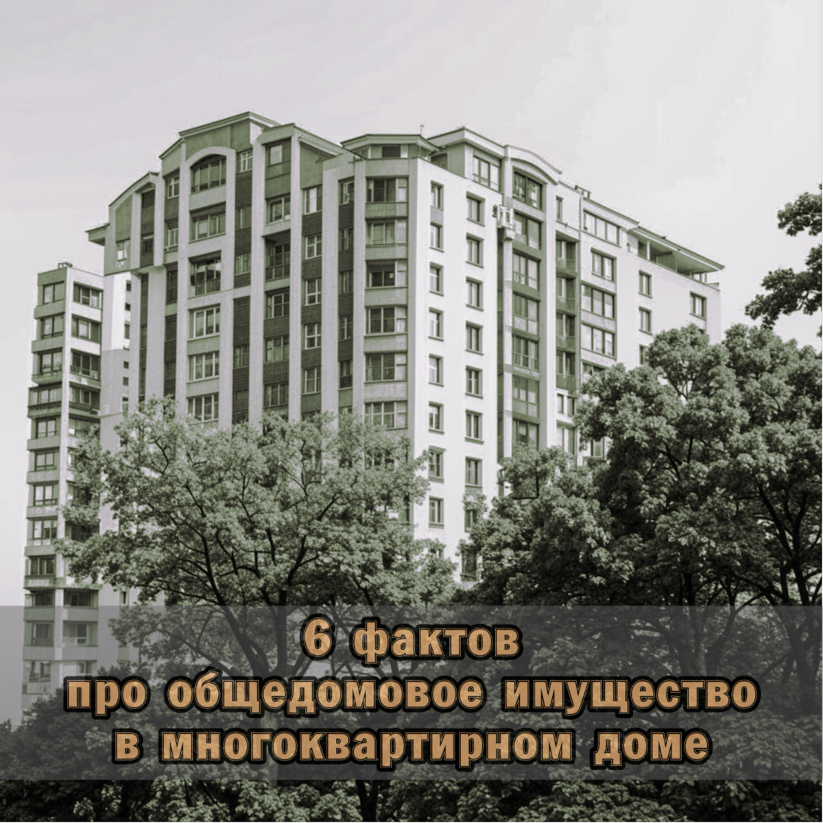 ⚠️ 6 фактов про общедомовое имущество в многоквартирном доме
1 | Сетка — социальная сеть от hh.ru