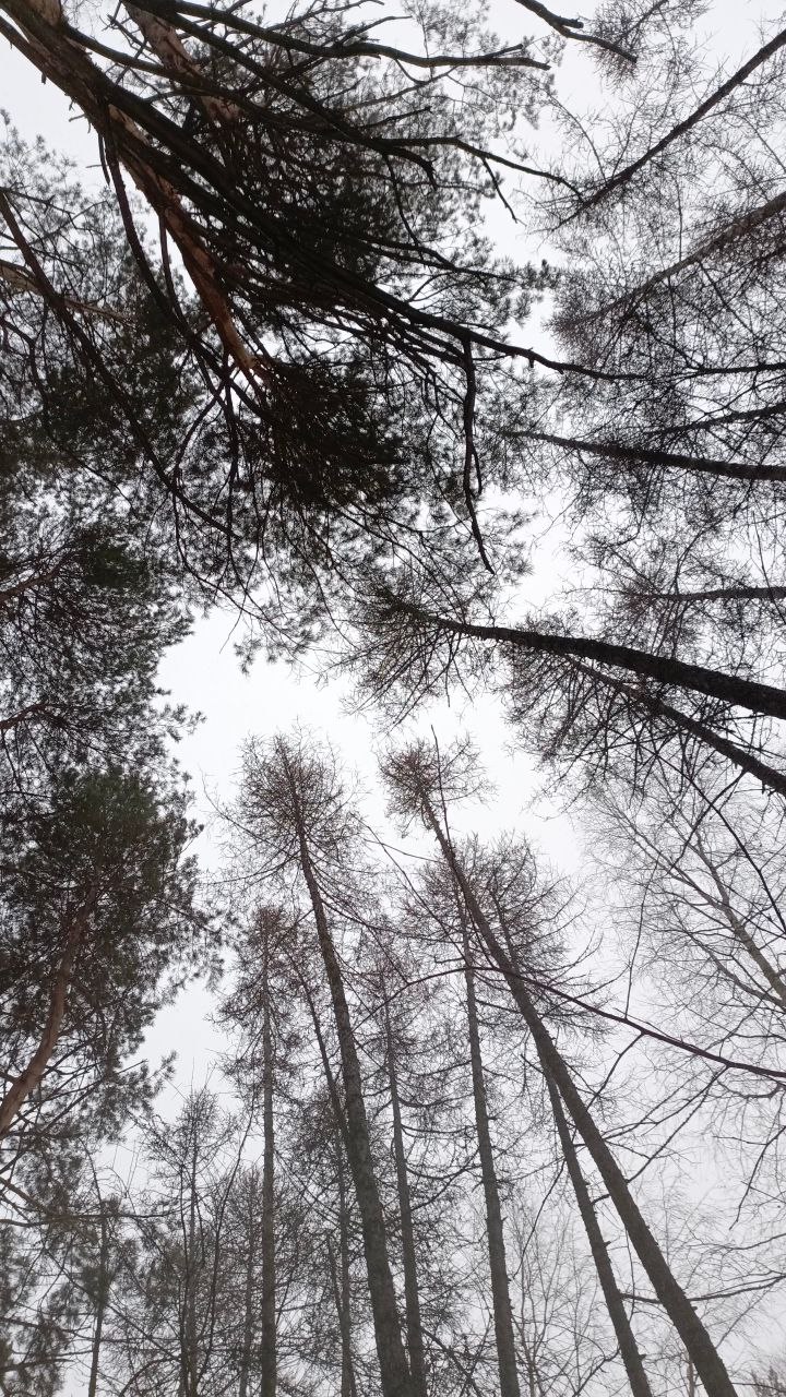 #какдела
⚡⚡⚡
Лавирую между встречами, заказчиками МТИ, бытовыми делами и отдыхом.
🥕🥕🥕
В фокусе два клиента:
Про одного рассказываю под тегом кейс, другой секретный, на этой неделе его раскрою | Сетка — социальная сеть от hh.ru