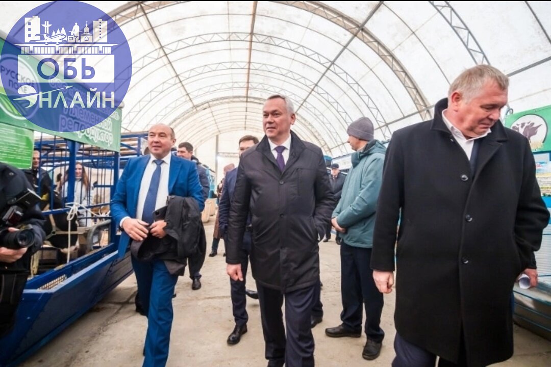 ↗ Толмачёвская корова удивила губернатора
Корова Тамара Голштинской породы весом в 579 килограммов – настоящее достояние АО «Толмачевское» | Сетка — социальная сеть от hh.ru